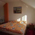 Jaruska شقة Nová Lesná